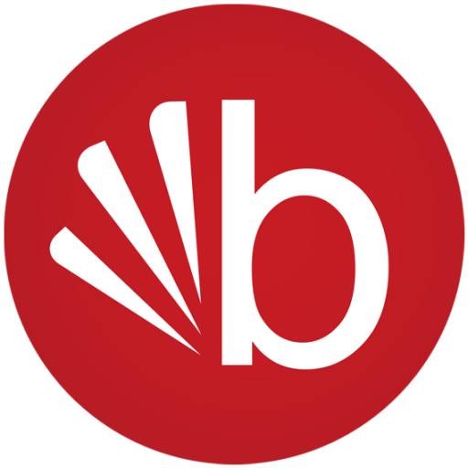 Bisconti Computers Inc logo